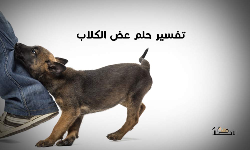تفسير حلم عض الكلاب للمتزوجه