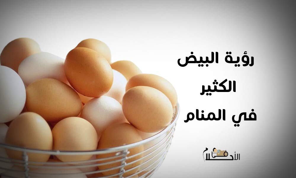 تفسير رؤية البيض الكثير في المنام