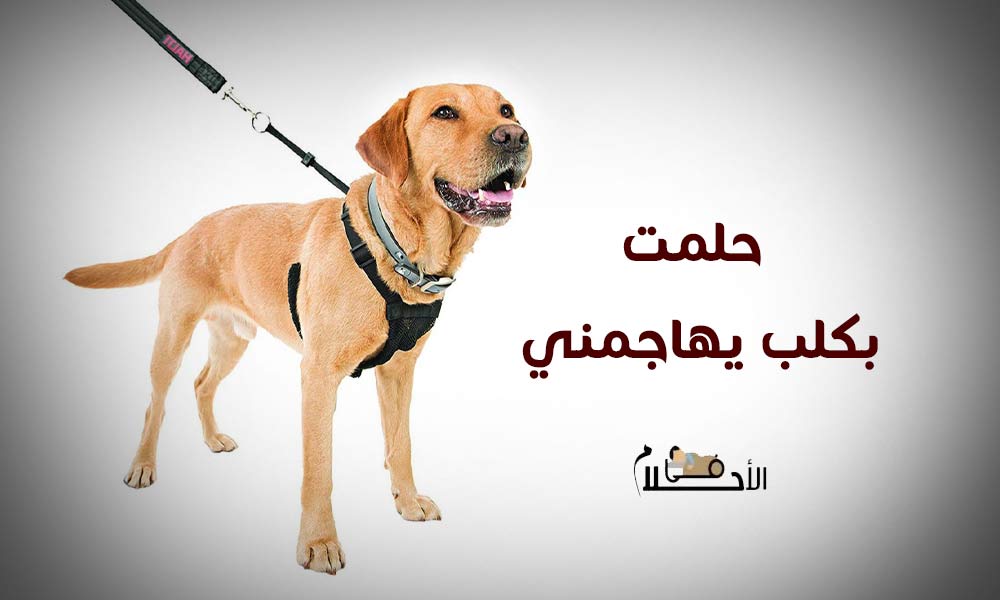 حلمت بكلب يهاجمني ولم يضرني