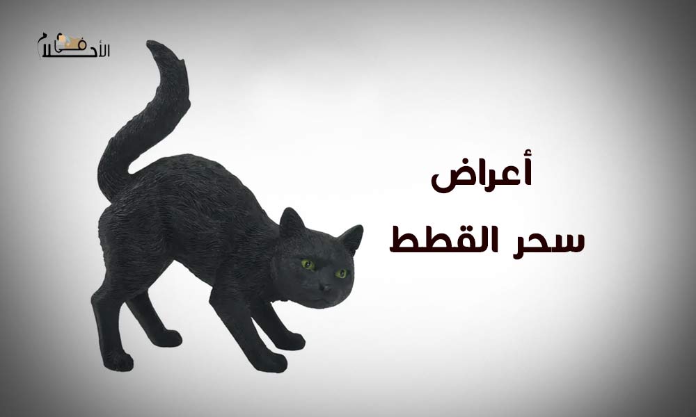 أعراض سحر القطط
