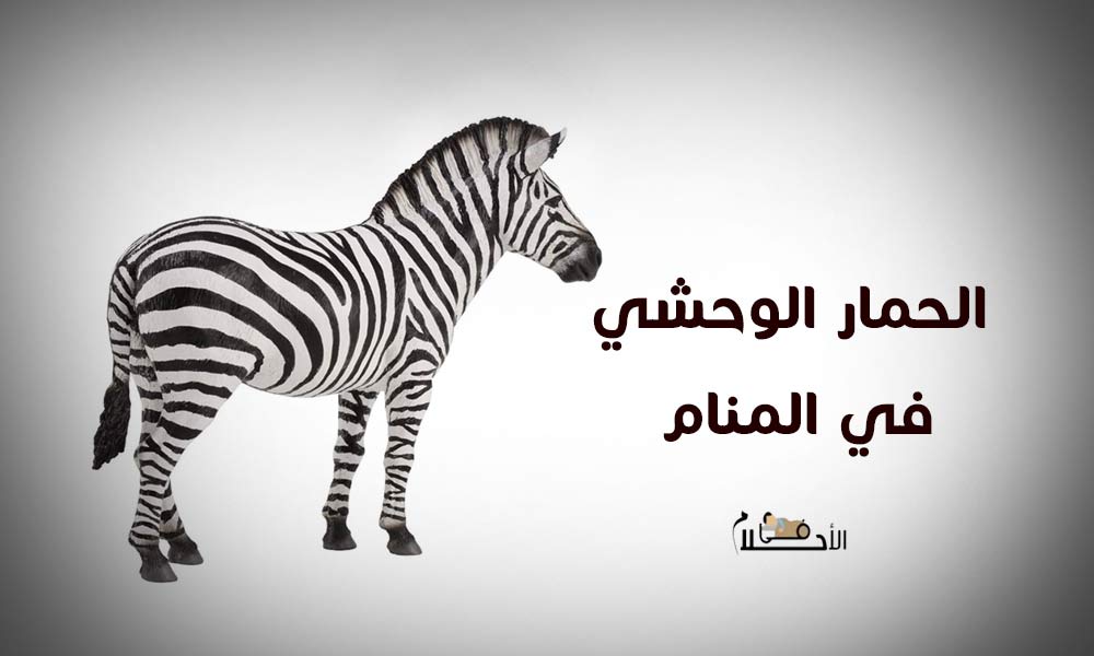 الحمار الوحشي في المنام
