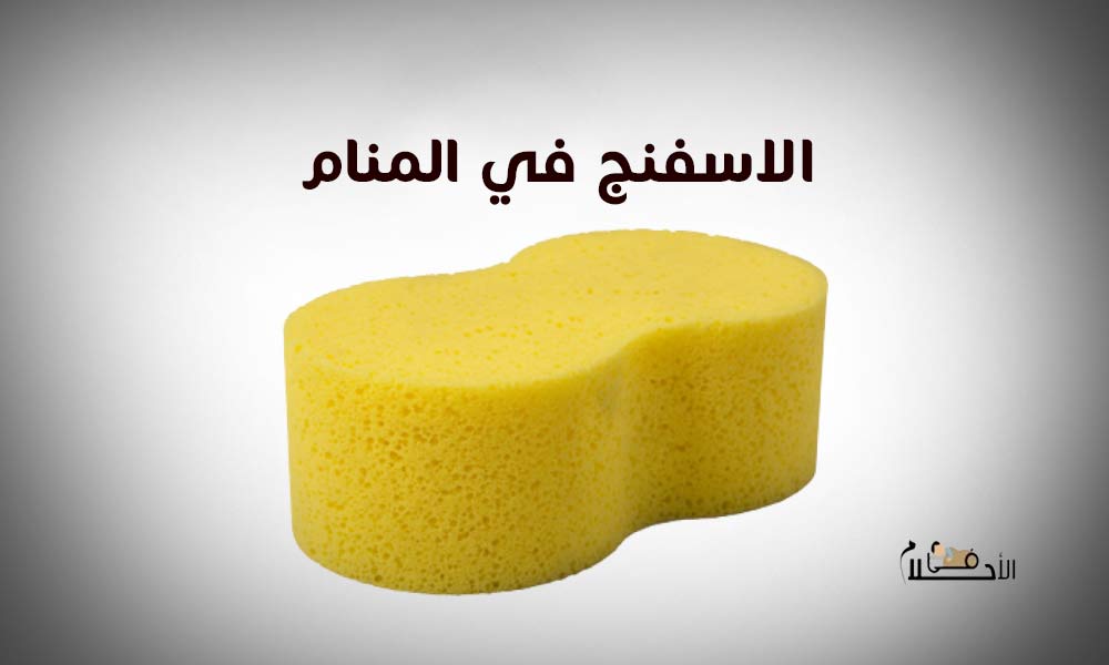 الاسفنج في المنام