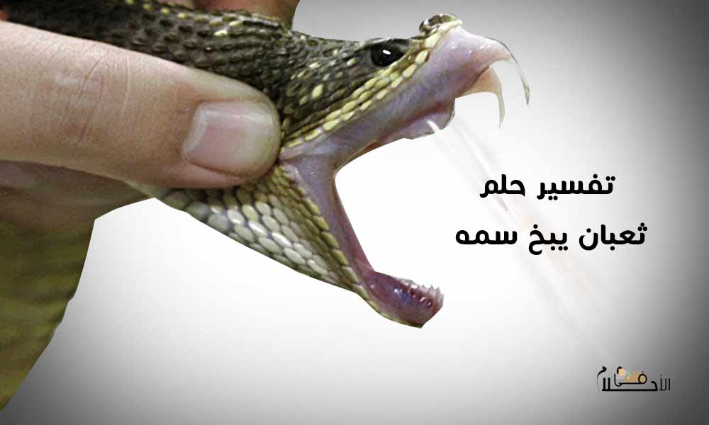 تفسير حلم ثعبان يبخ سمه في الوجه