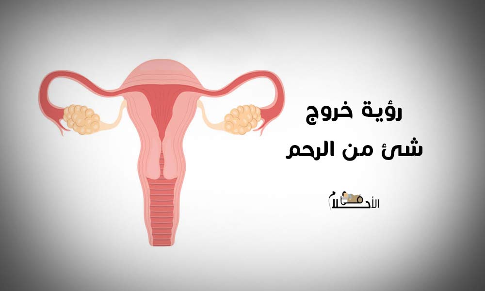 تفسير حلم خروج شي غريب من الرحم للمتزوجة