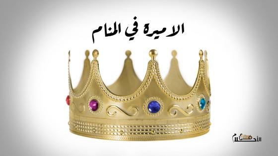 الأميرة في المنام