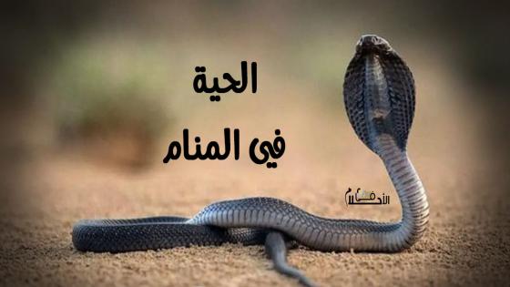 تفسير حلم الحية