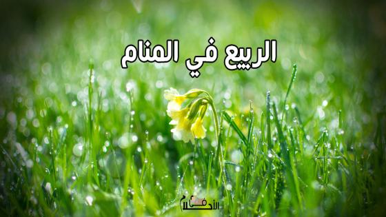 الربيع في المنام