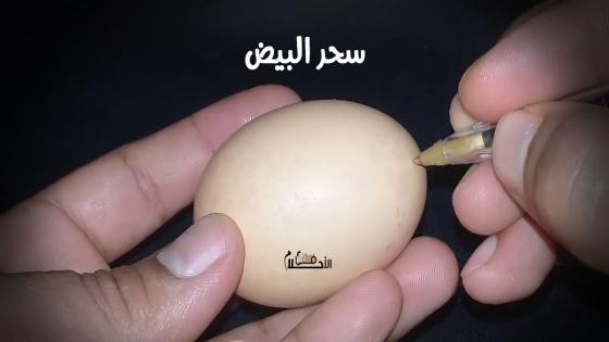 سحر البيض