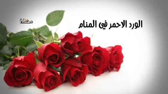 الورد الاحمر في المنام