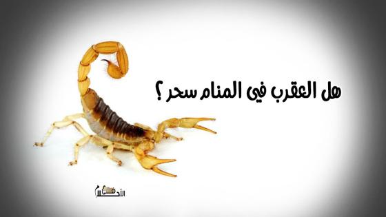هل العقرب في المنام سحر