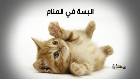 تفسير حلم البسة