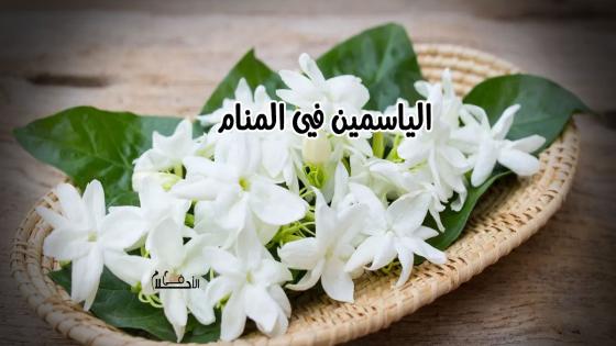 الياسمين في المنام