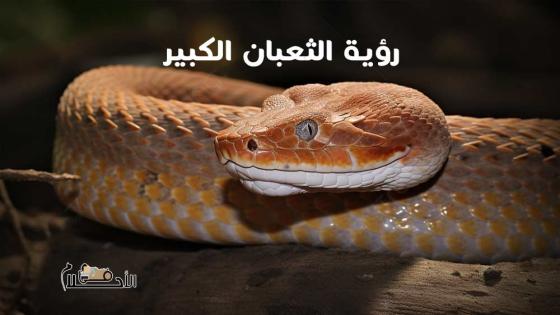 تفسير رؤية الثعبان الكبير في المنام