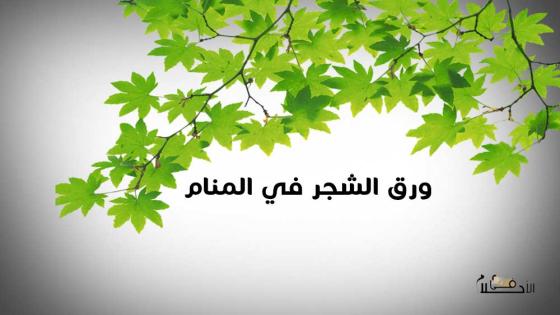 ورق الشجر في المنام