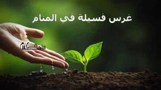 غرس فسيلة في المنام