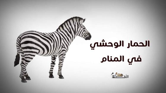 الحمار الوحشي في المنام