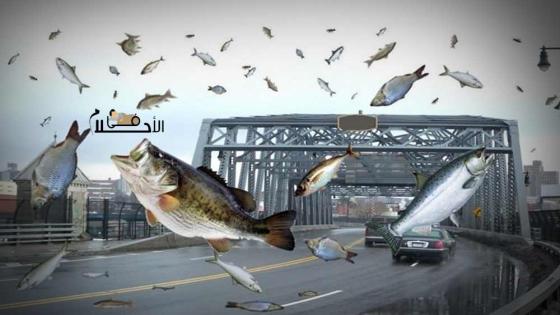 خروج السمك من البحر في المنام