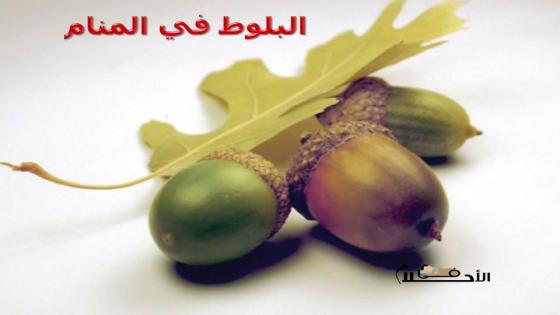 البلوط في المنام