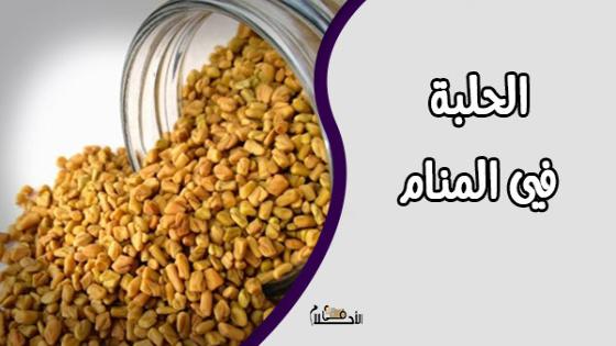 الحلبة في المنام