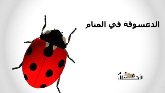 الدعسوقة في المنام