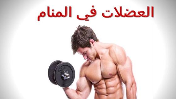 العضلات في المنام