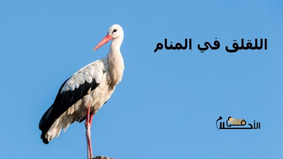 اللقلق في المنام