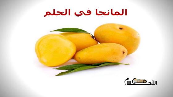 المانجا في الحلم