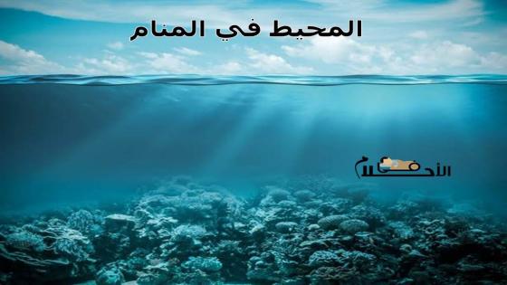 المحيط في المنام