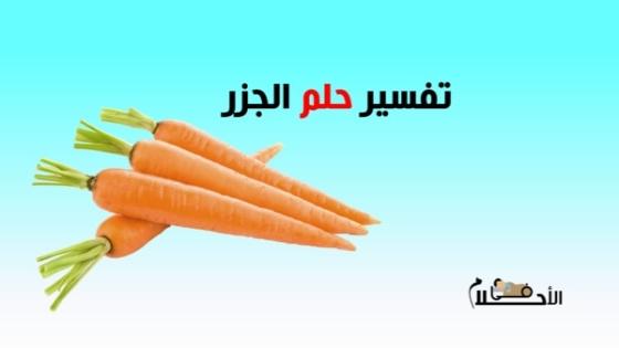 تفسير حلم الجزر