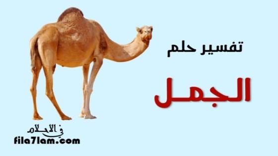 تفسير حلم الجمل