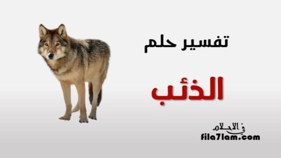 تفسير حلم الذئب