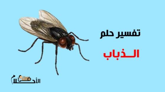 تفسير حلم الذباب في المنام