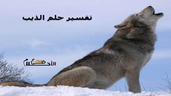 تفسير حلم الذيب