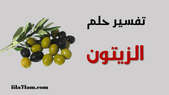 تفسير حلم الزيتون في المنام