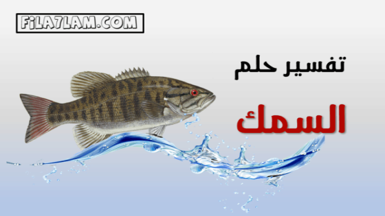 تفسير حلم السمك في المنام
