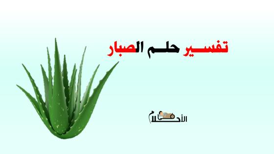 تفسير حلم الصبار في المنام