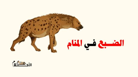 تفسير حلم الضبع