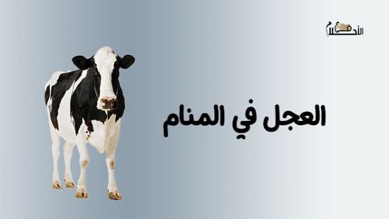 تفسير حلم العجل