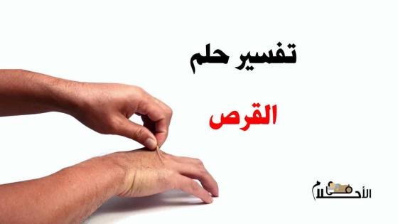 تفسير حلم القرص في المنام
