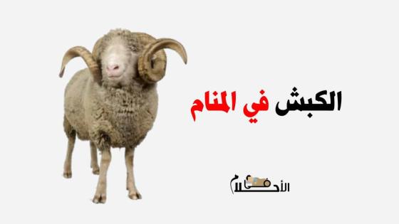 تفسير حلم الكبش في المنام