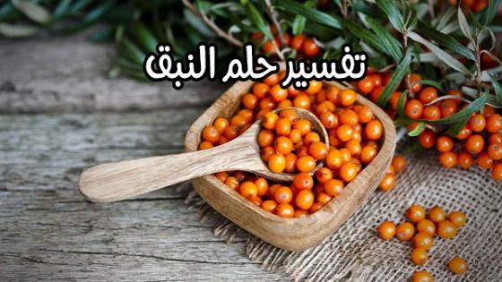 تفسير حلم النبق