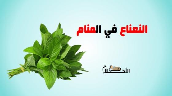 تفسير حلم النعناع في المنام