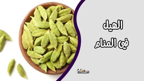 تفسير حلم الهيل
