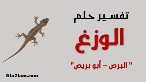 تفسير حلم الوزغ في المنام