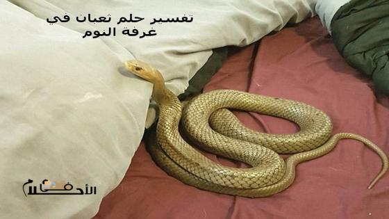 تفسير حلم ثعبان في غرفة النوم