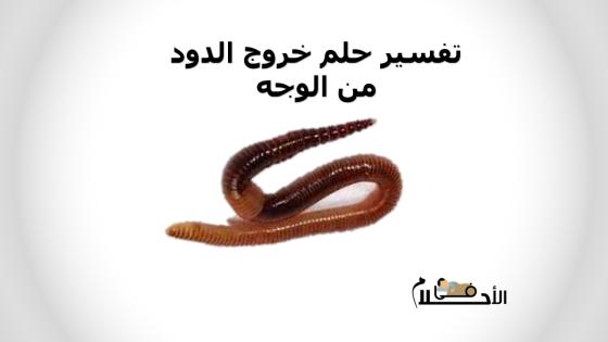 تفسير حلم خروج الدود من الوجه
