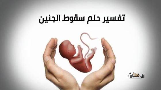 تفسير حلم سقوط الجنين من بطن امه في المنام
