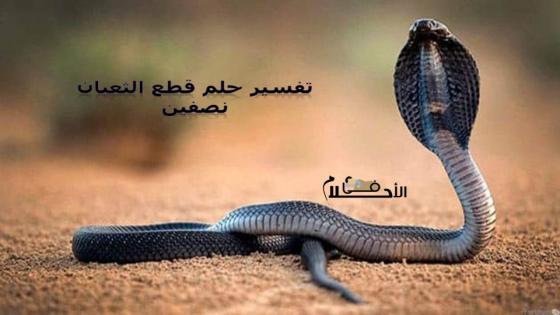 تفسير حلم قطع الثعبان نصفين