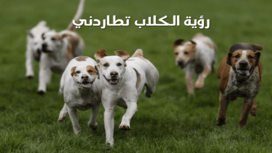 تفسير رؤية الكلاب تلاحقني في المنام