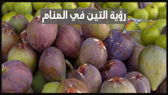 رؤية التين في المنام